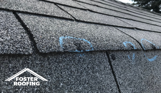 Hail Damage Foster Roofing 05